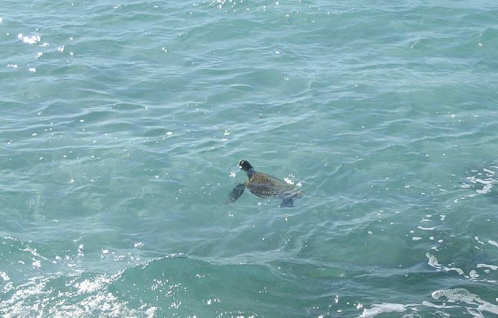 Do Pero * Cabo Frio